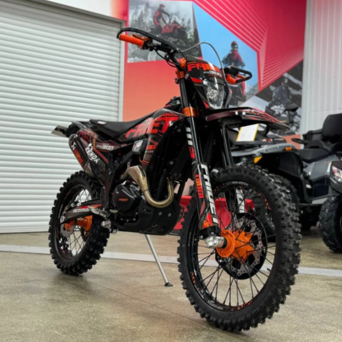 Кроссовый мотоцикл FAIDET PR300 MAX WP в Муроме