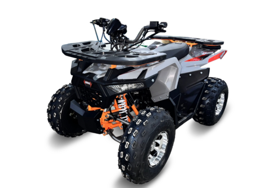 Квадроцикл GBM DAXTER 220 NEW PREMIUM в Муроме