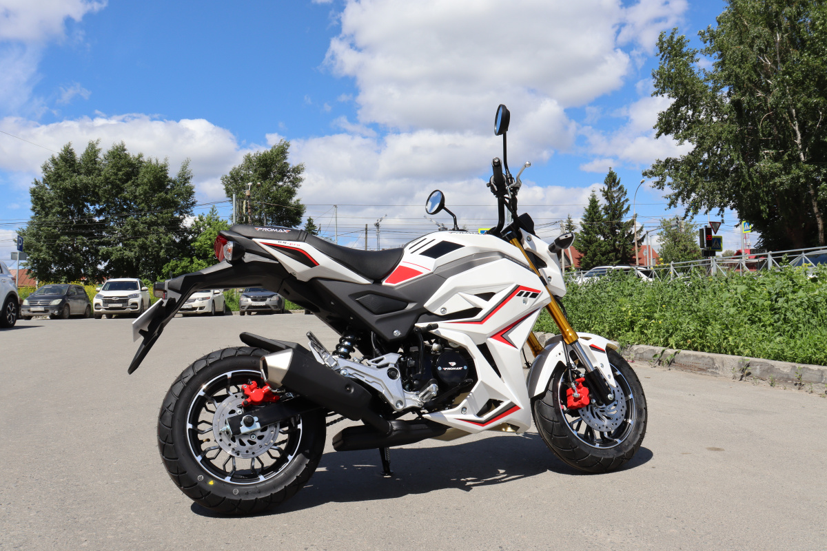 Мотоцикл PROMAX STRYKER 200(49) 2.0 в Муроме