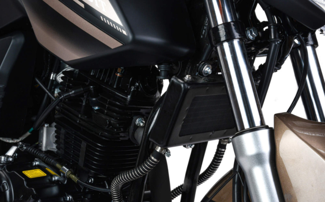 Мотоцикл MOTOLAND (МОТОЛЕНД) 300 BANDIT в Муроме