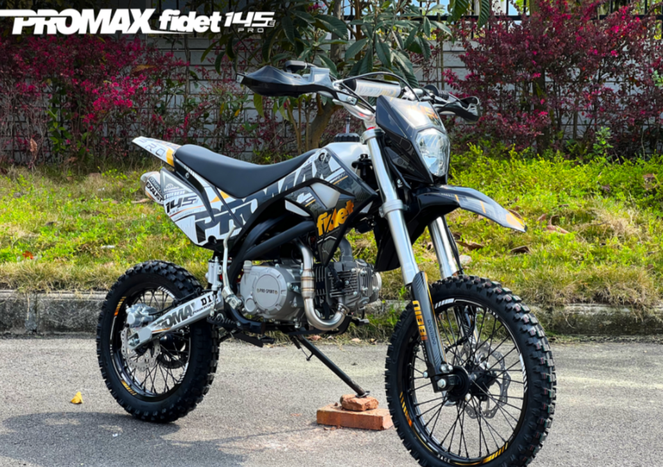 Мотоцикл (питбайк) PROMAX FIDET (ФАЙДЕТ) 145E PRO 17/14 в Муроме