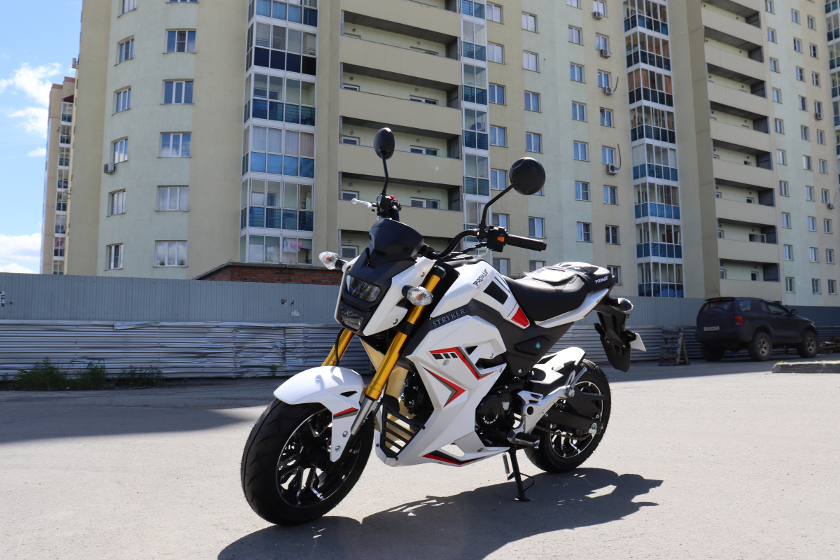 Мотоцикл PROMAX STRYKER 200(49) 2.0 в Муроме