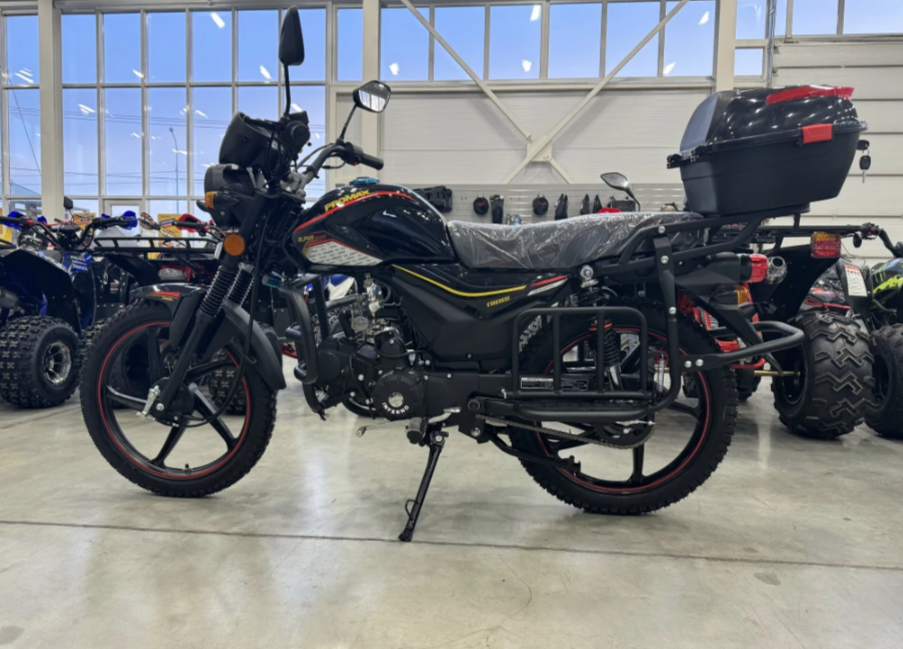 Мопед PROMAX ALPHA TOURIST 150(49) LUX в Муроме