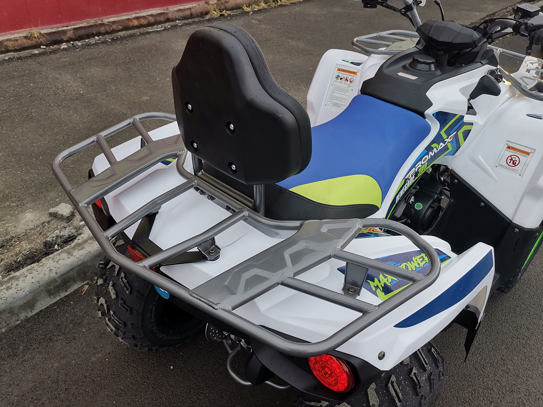 Квадроцикл PROMAX RENEGADE 280 LUX (2025) в Муроме