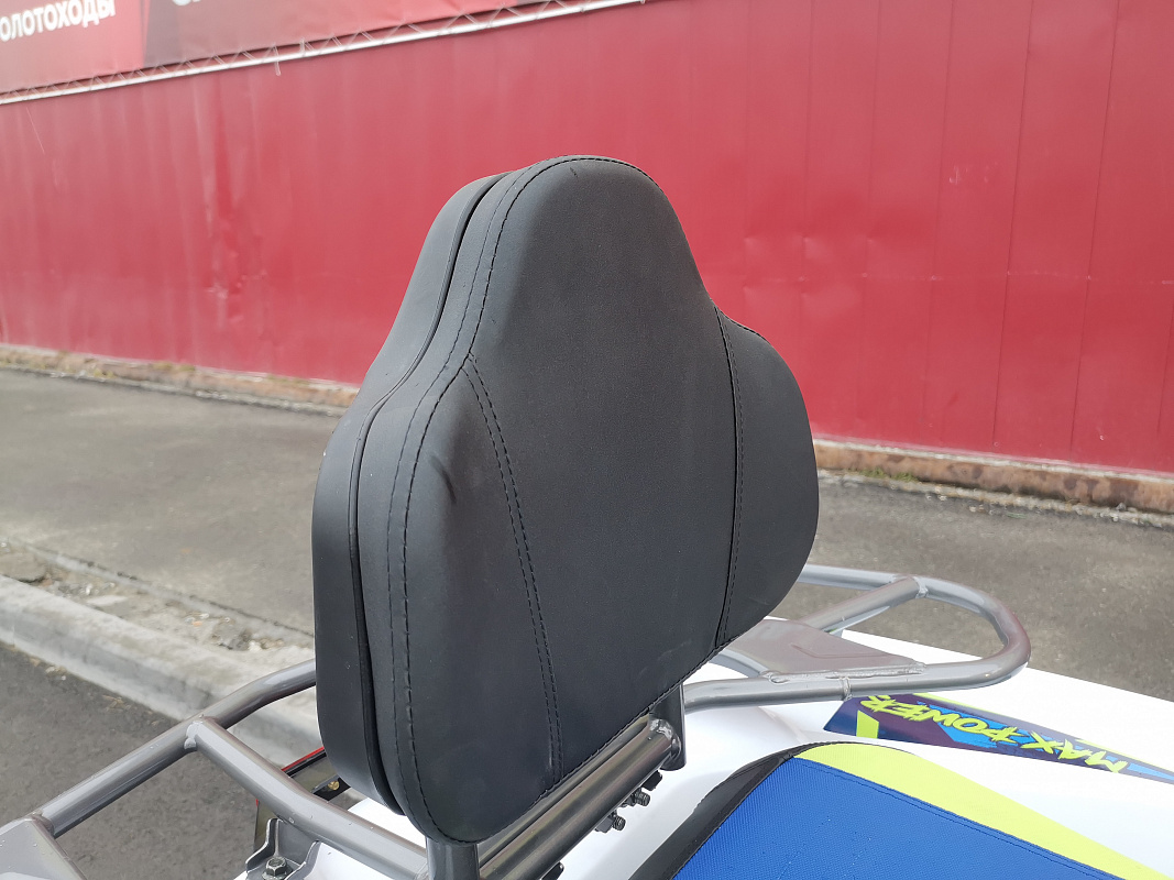 Квадроцикл PROMAX RENEGADE 280 LUX (2025) в Муроме