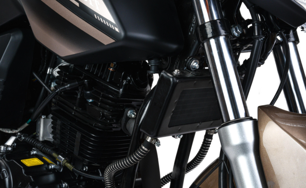 Мотоцикл MOTOLAND (МОТОЛЕНД) 300 BANDIT в Муроме