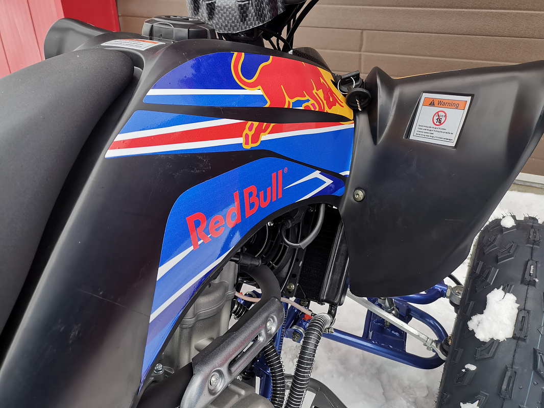Квадроцикл PROMAX RAPTOR 300 NEW RedBull в Муроме