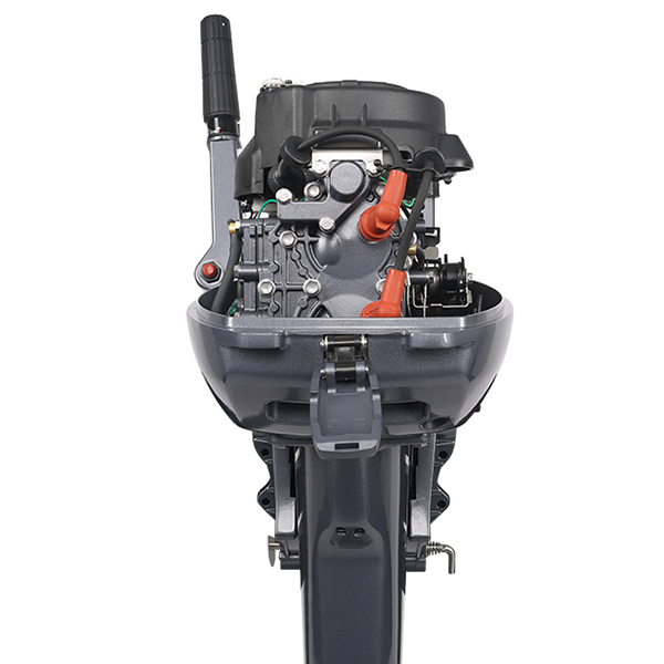 ЛОДОЧНЫЙ МОТОР ALLFA CG Т9,9 Limit в Муроме