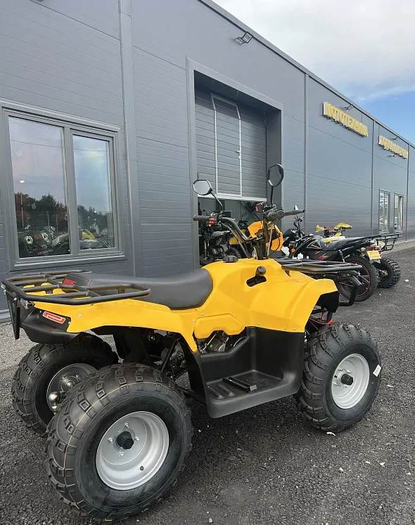 КВАДРОЦИКЛ IRBIS ATV 250  в Муроме