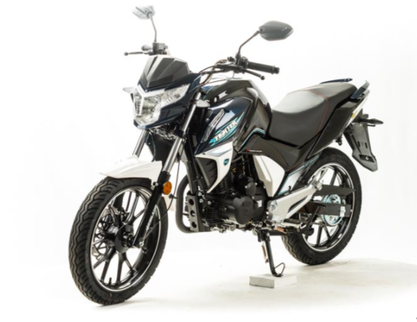 Мотоцикл MOTOLAND (МОТОЛЕНД) FIGHTER 250 в Муроме