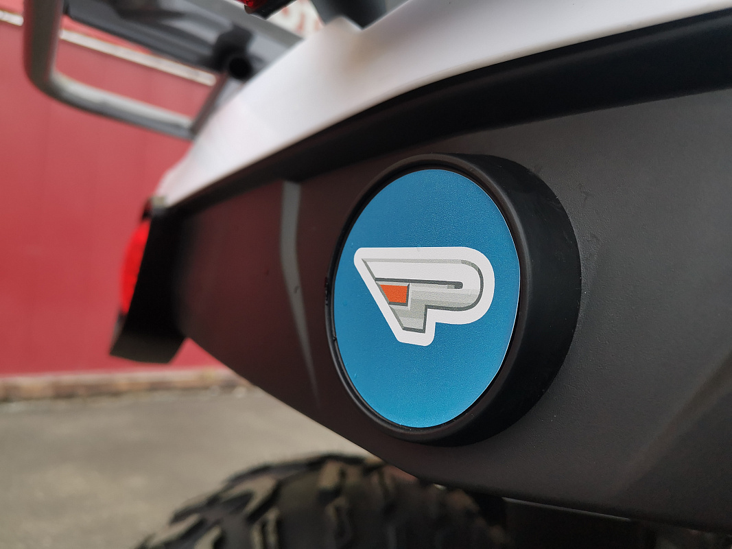Квадроцикл PROMAX RENEGADE 280 LUX (2025) в Муроме