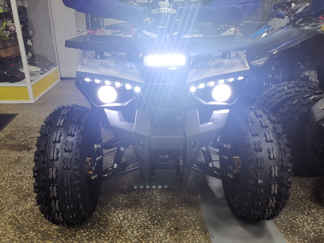 Квадроцикл PROMAX WILD 175 LUX в Муроме