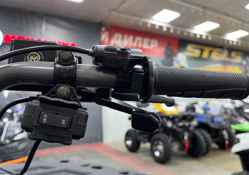 Квадроцикл PROMAX RENEGADE 300 LONG WINCH PRO (2025) в Муроме