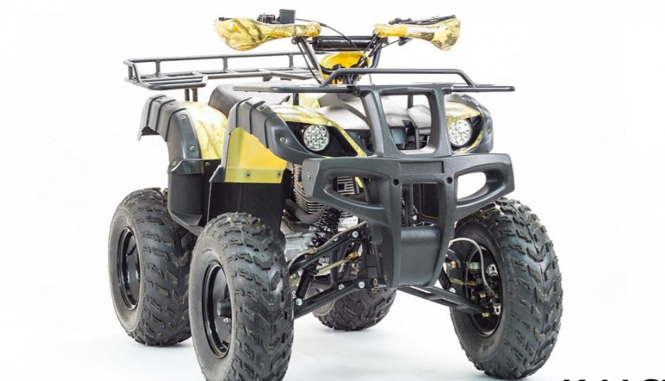 Квадроцикл MOTOLAND (МОТОЛЕНД) 250 ADVENTURE в Муроме