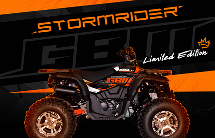 Квадроцикл GBM STORMRIDER 320 NEW LUX в Муроме