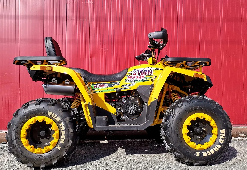 Квадроцикл PROMAX STORM 280 LUX в Муроме