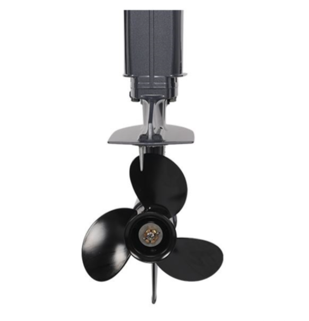 Лодочный мотор ALLFA CG Т40FW S в Муроме