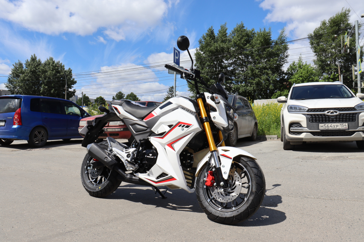 Мотоцикл PROMAX STRYKER 200(49) 2.0 в Муроме