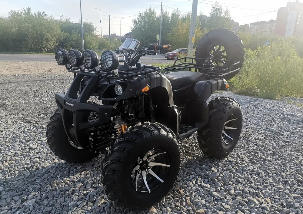 Квадроцикл PROMAX LEO 300 Max (кардан) в Муроме