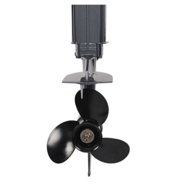 Лодочный мотор ALLFA CG Т40FWT S в Муроме