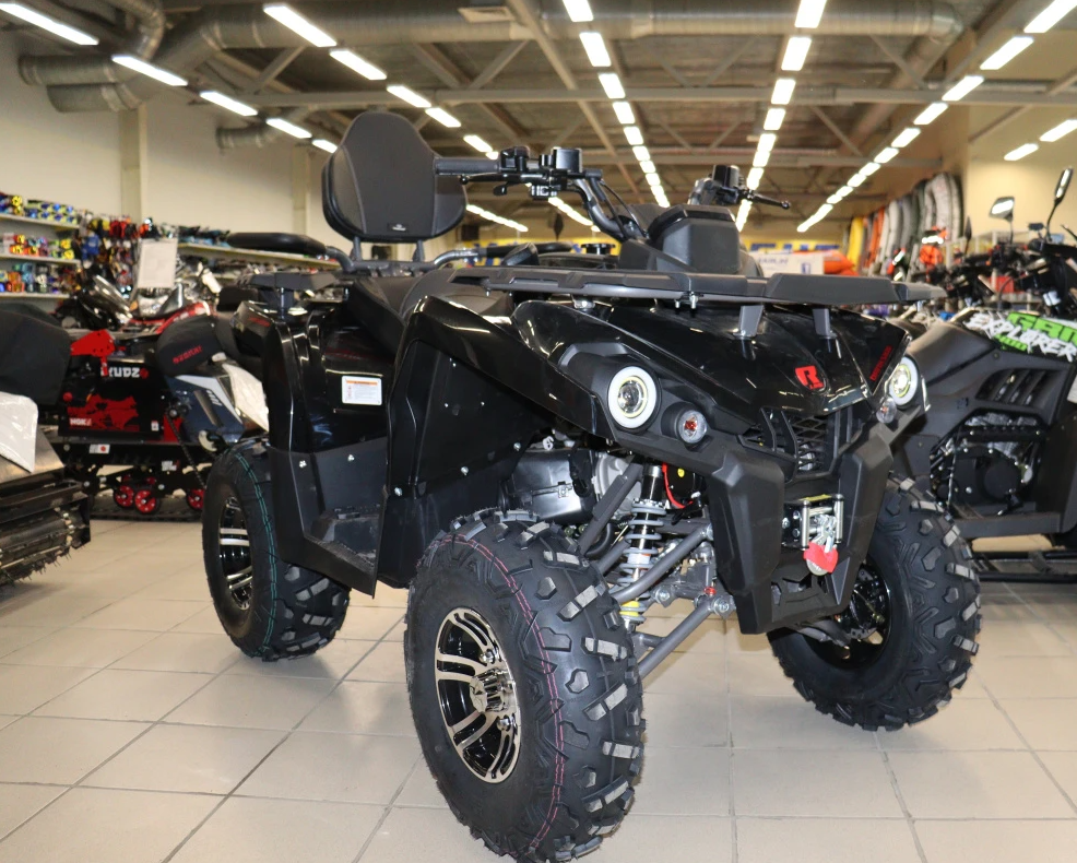 Квадроцикл PROMAX RENEGADE 300 LONG WINCH PRO (2025) в Муроме