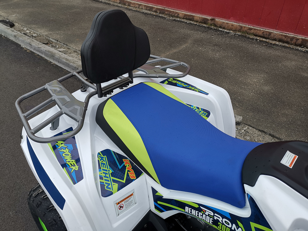 Квадроцикл PROMAX RENEGADE 280 LUX (2025) в Муроме