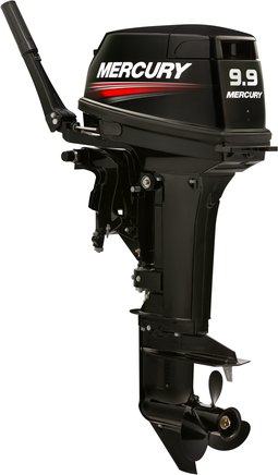 ЛОДОЧНЫЙ МОТОР MERCURY 9.9 MH TMC 247 CC в Муроме