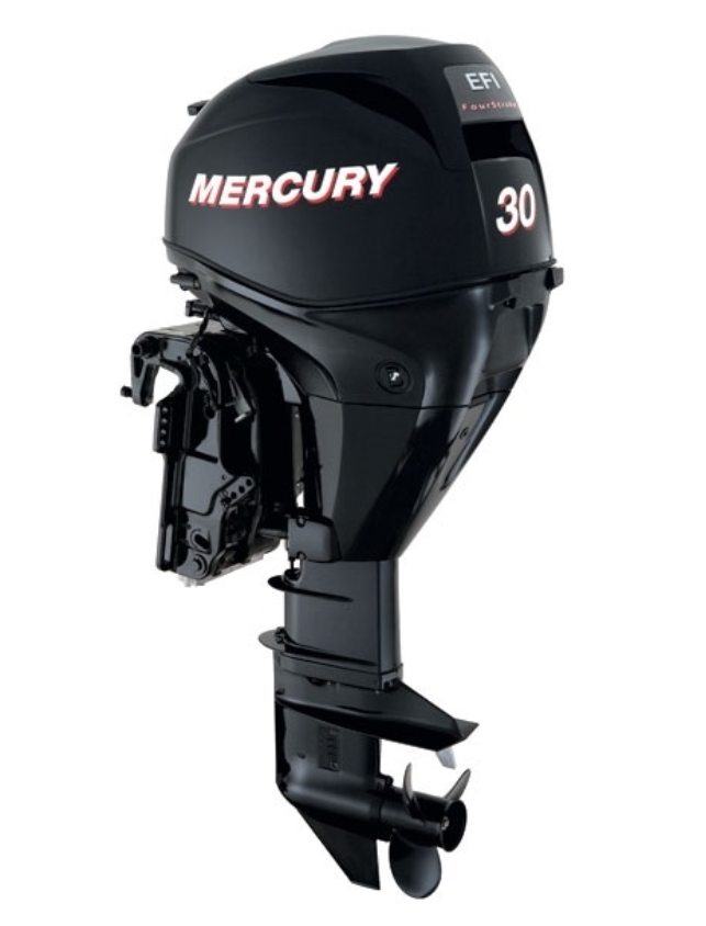 ЛОДОЧНЫЙ МОТОР MERCURY  F 30 ELH GA EFI в Муроме