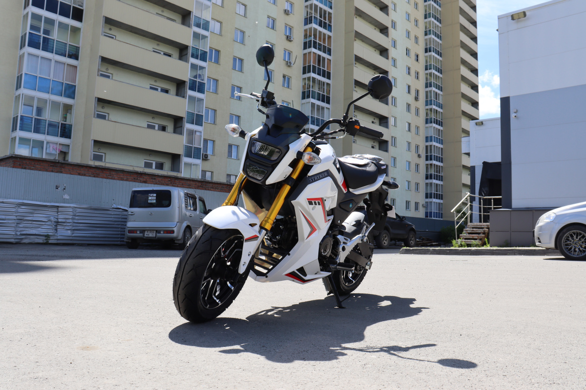 Мотоцикл PROMAX STRYKER 200(49) 2.0 в Муроме