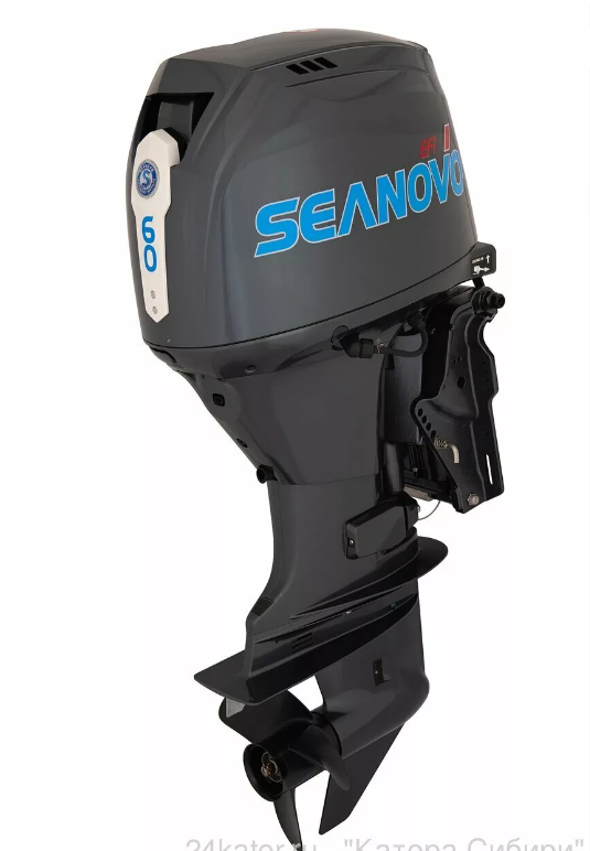 Лодочный мотор SEANOVO SNEF50FUEL-T - EFI (2,33) в Муроме