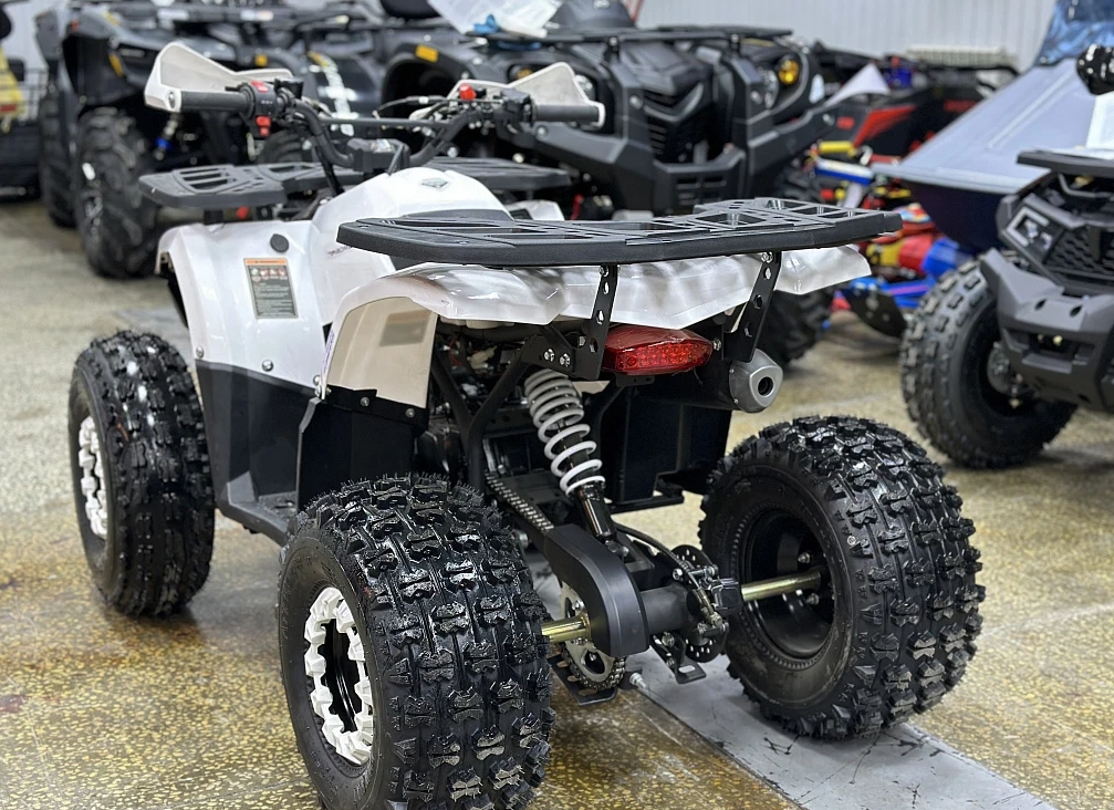 Квадроцикл PROMAX WILD 2.0 190 в Муроме