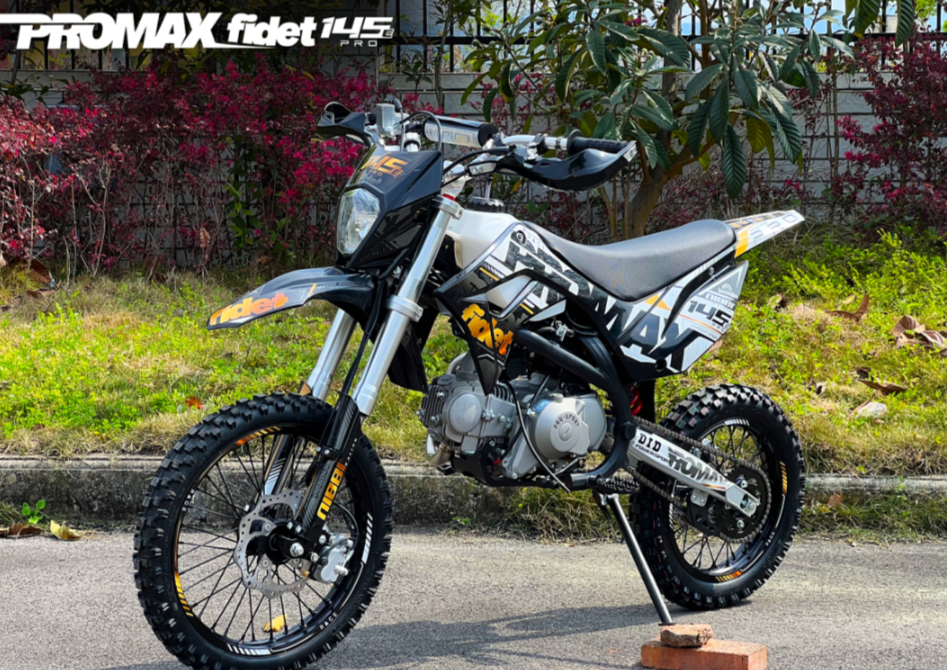 Мотоцикл (питбайк) PROMAX FIDET (ФАЙДЕТ) 145E PRO 17/14 в Муроме