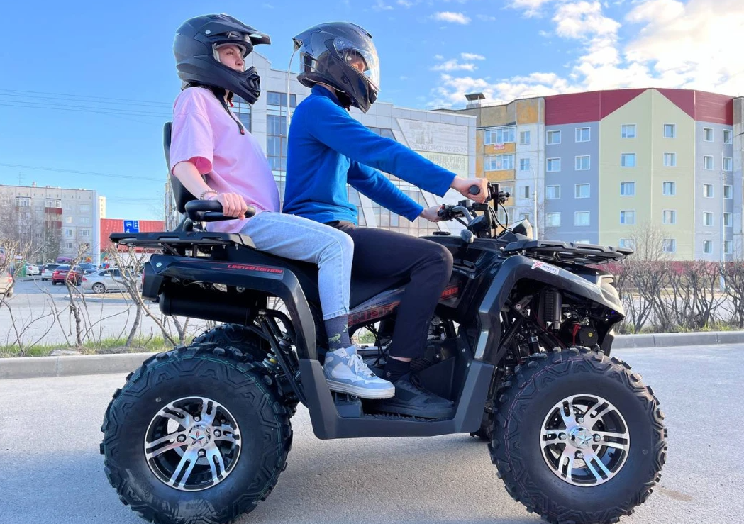 Квадроцикл PROMAX RENEGADE 300 LONG WINCH PRO (2025) в Муроме