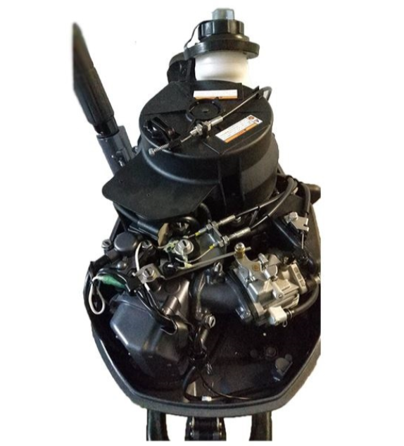 Лодочный мотор ALLFA CG F6 в Муроме