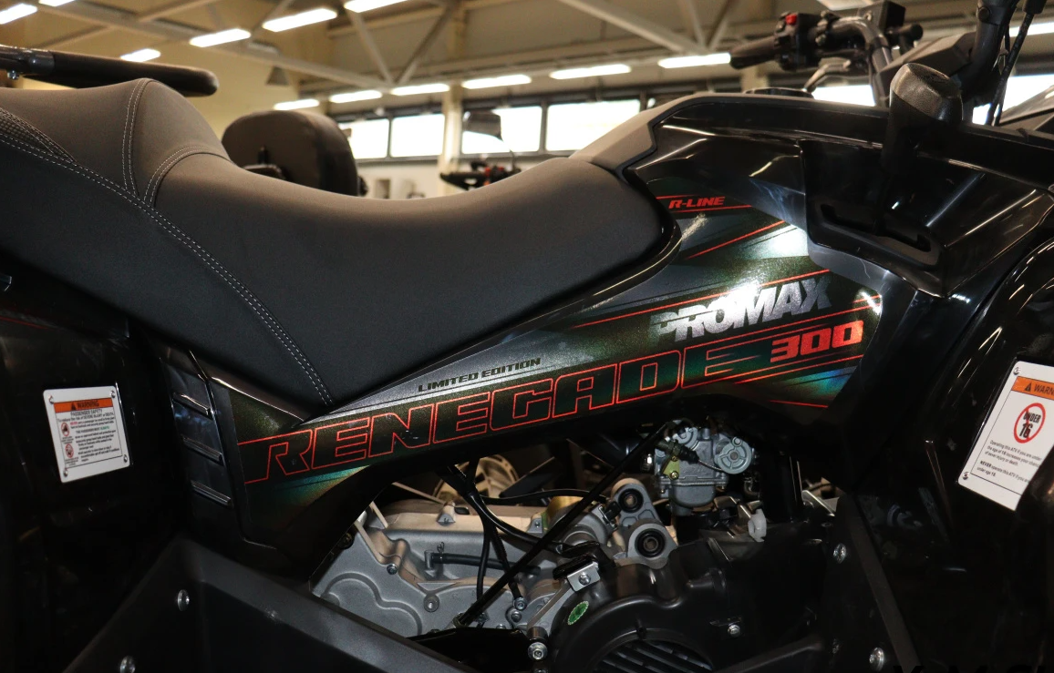 Квадроцикл PROMAX RENEGADE 300 LONG WINCH PRO (2025) в Муроме