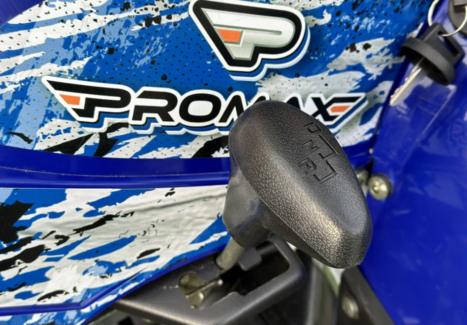  Квадроцикл PROMAX ATV 250 MAX (2025) в Муроме