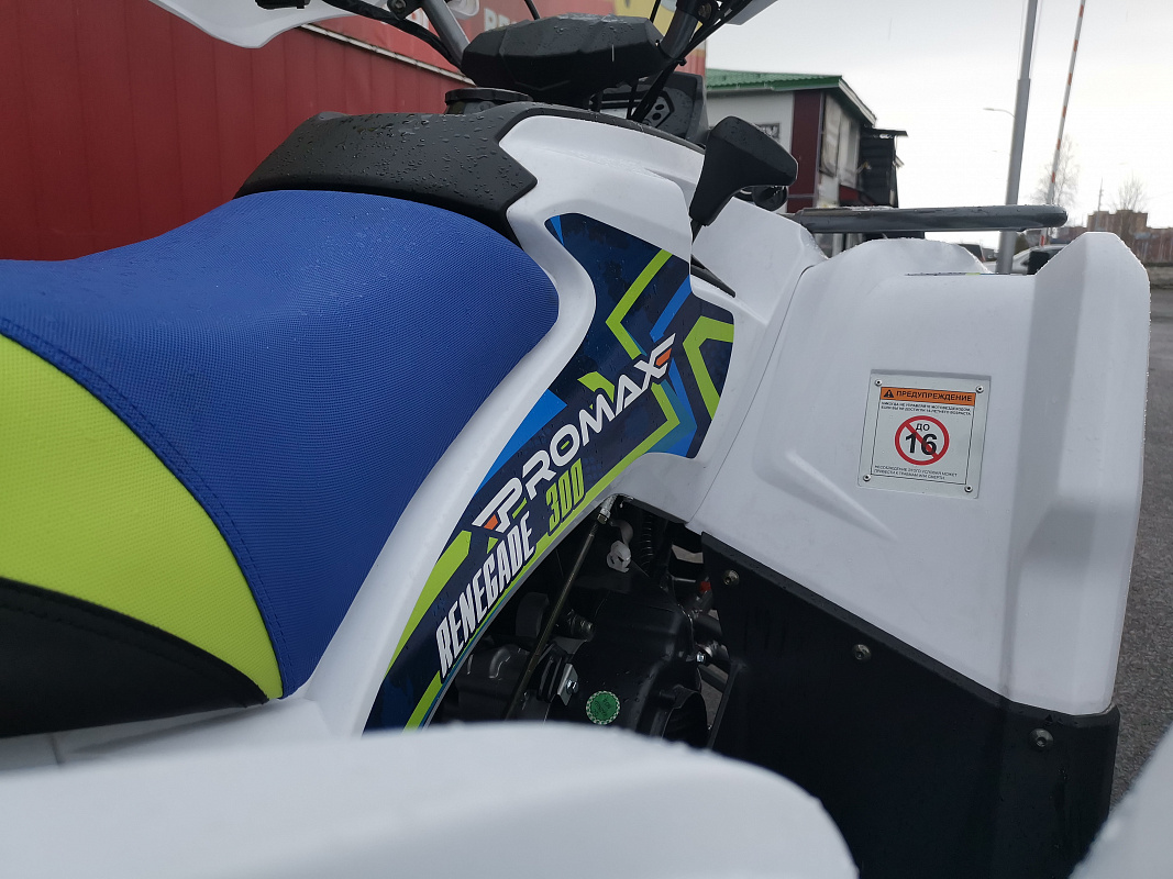 Квадроцикл PROMAX RENEGADE 280 LUX (2025) в Муроме