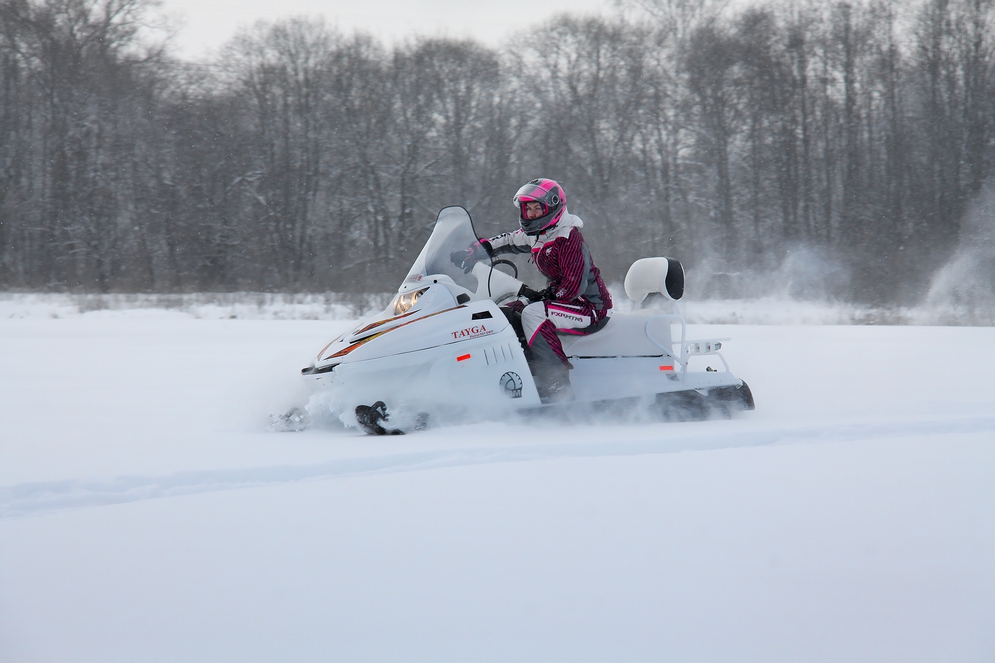 СНЕГОХОД РМ ТАЙГА ПАТРУЛЬ 551 SWT в Муроме