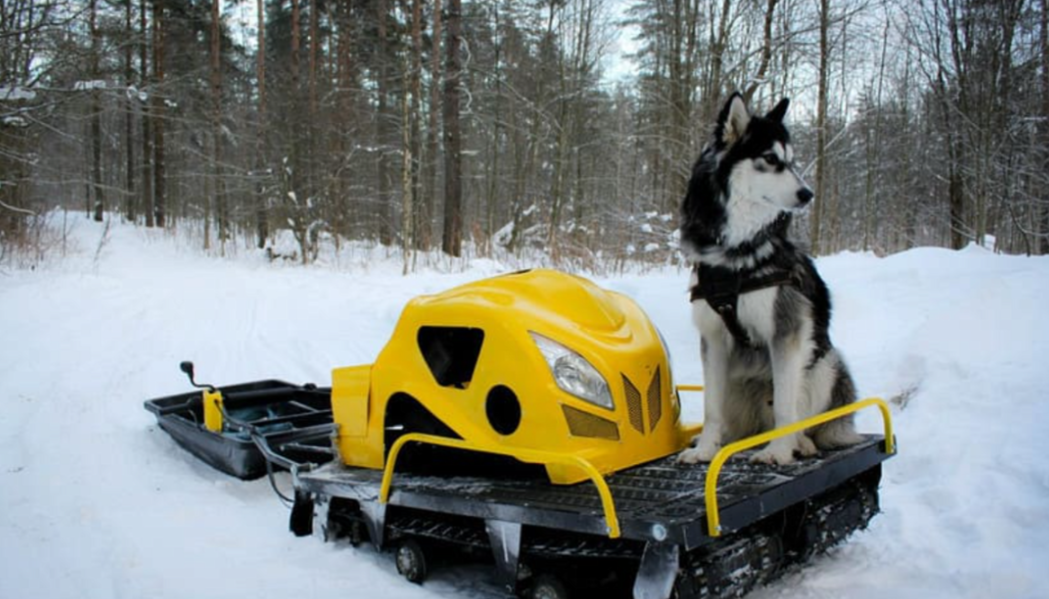 Мотобуксировщик LEBEDEV MOTORS ВОЛКОДАВ POWER V13 в Муроме
