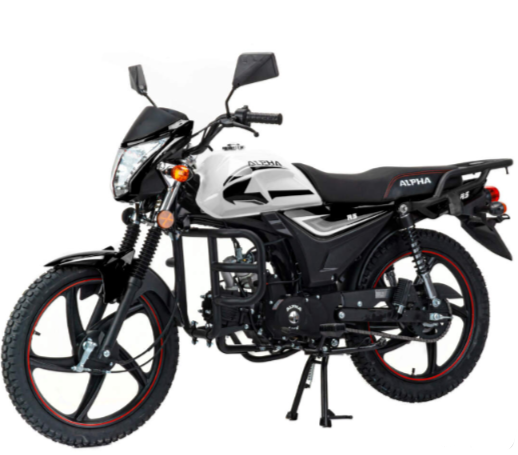 Мопед MOTOLAND (МОТОЛЕНД) Альфа RS 11 (LM48-B) в Муроме