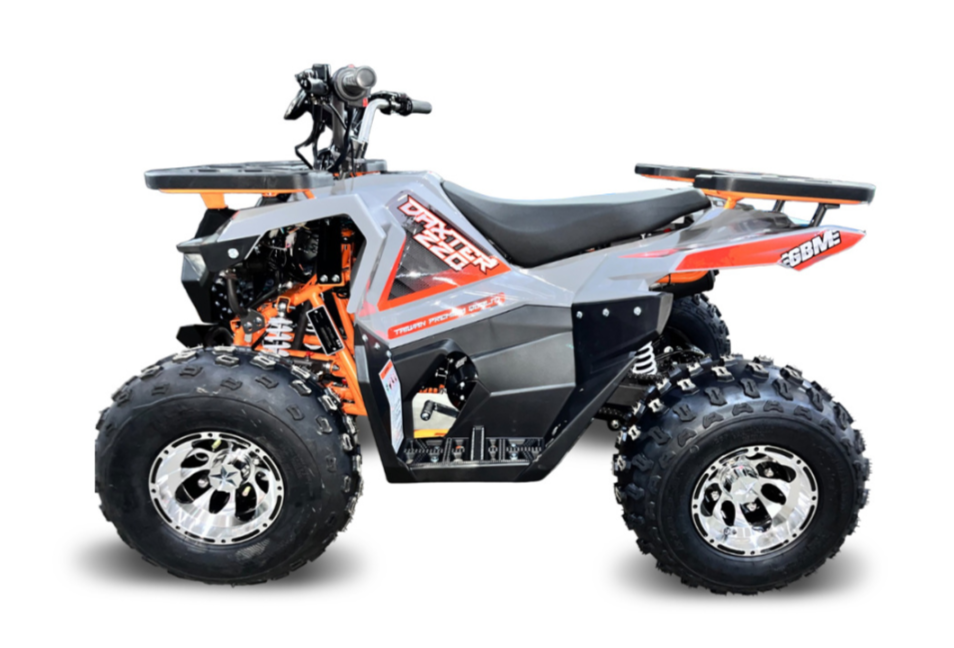 Квадроцикл GBM DAXTER 220 NEW PREMIUM в Муроме