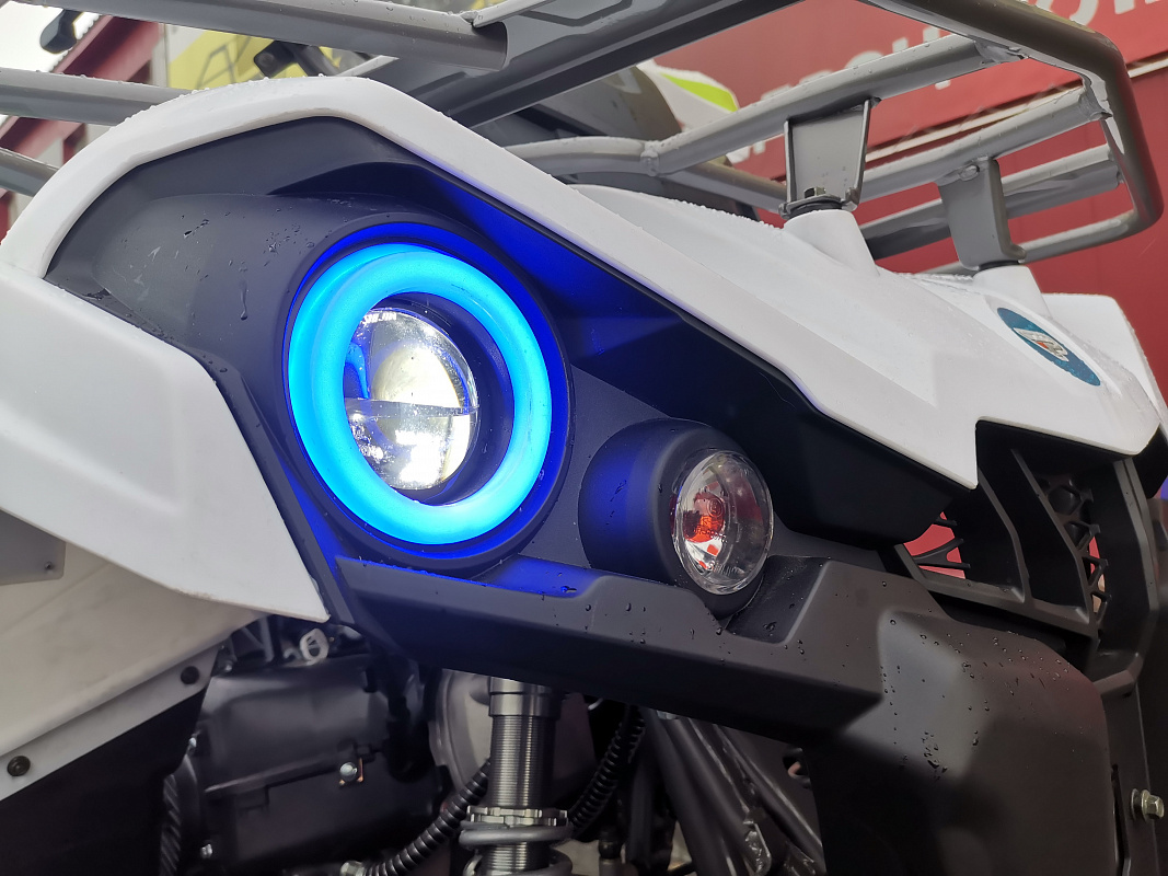 Квадроцикл PROMAX RENEGADE 280 LUX (2025) в Муроме