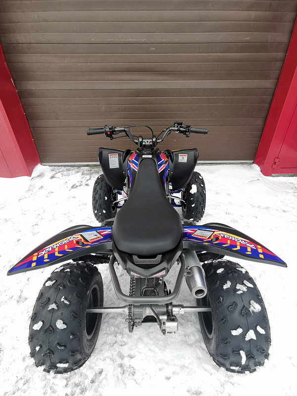 Квадроцикл PROMAX RAPTOR 300 NEW RedBull в Муроме