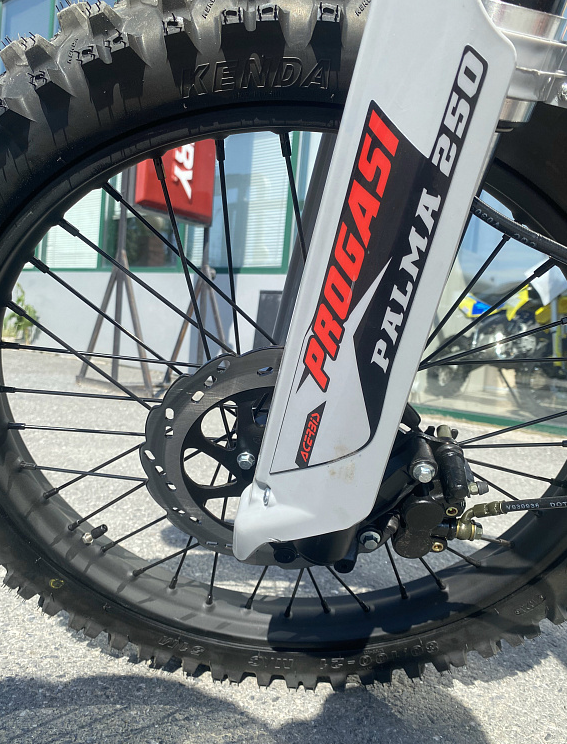 Мотоцикл Progasi PALMA 300 NEW (CB300F) в Муроме