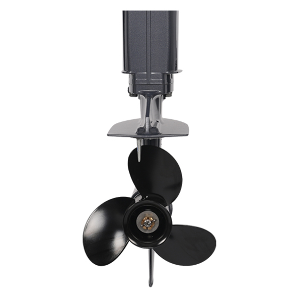 Лодочный мотор ALLFA CG Т9.9(20)MAX в Муроме