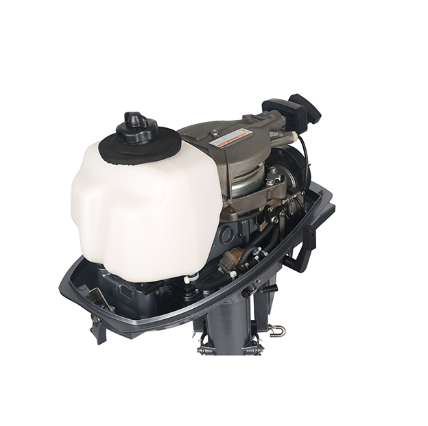 ЛОДОЧНЫЙ МОТОР ALLFA CG T5 в Муроме