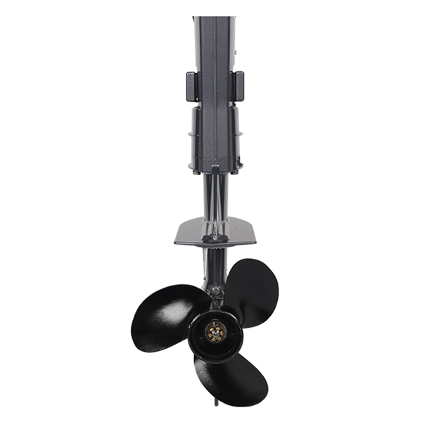 ЛОДОЧНЫЙ МОТОР ALLFA CG T9,8 Limit в Муроме