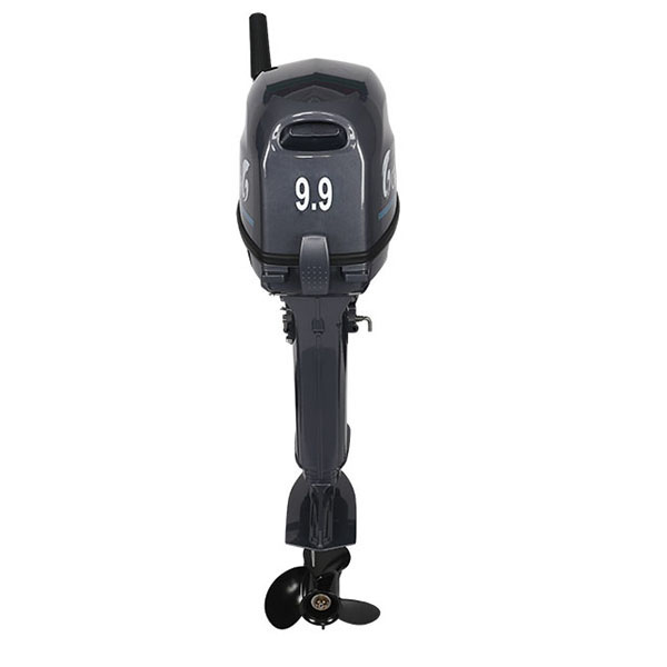 Лодочный мотор ALLFA CG Т9.9(20)MAX в Муроме