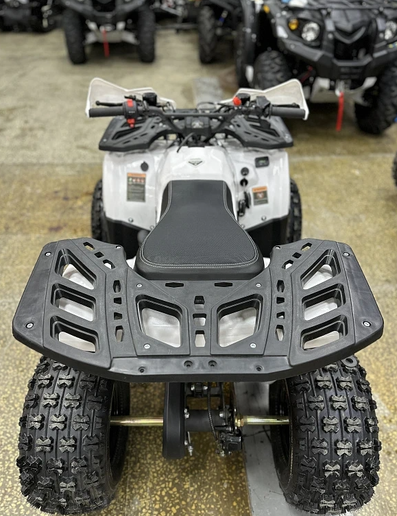 Квадроцикл PROMAX WILD 2.0 190 в Муроме