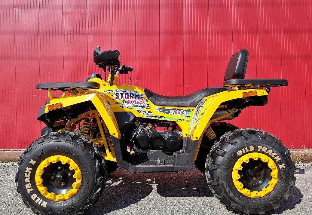 Квадроцикл PROMAX STORM 280 LUX в Муроме